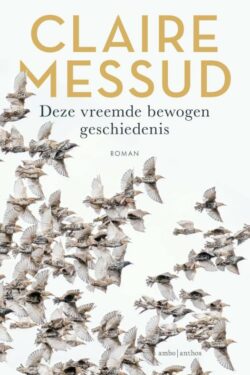 Deze vreemde bewogen geschiedenis - Claire Messud